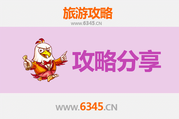 海东互助至湄洲岛旅游攻略：跟团还是自由行深度解析